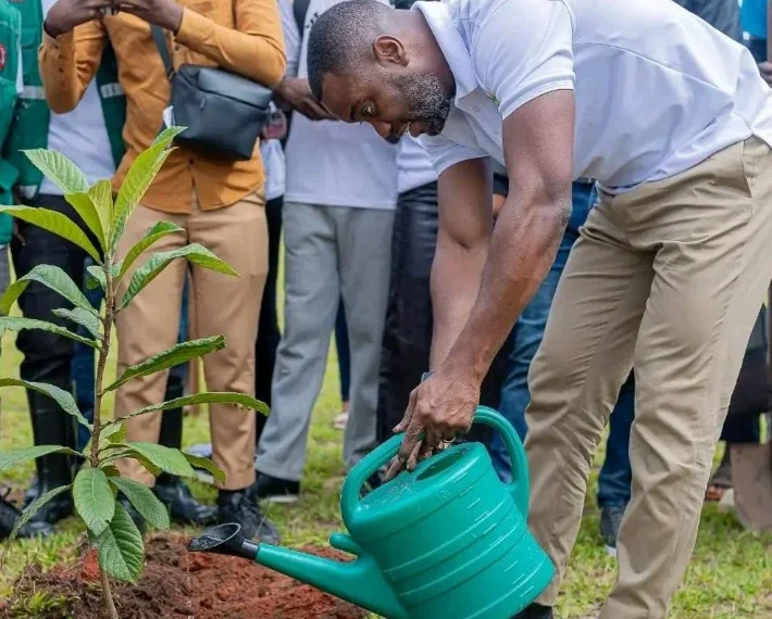 Plantação de trezentas árvores marca as celebrações do Dia do Ambiente na Lunda-Sul