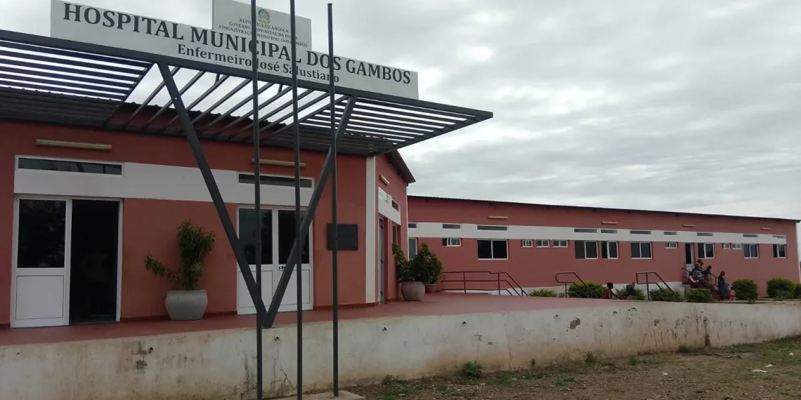 Gambos regista mais de 100 casos de malária diariamente