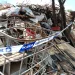 Polícia Nacional encerra mais de 90 casas de pesagem de sucata no Cuanza-Sul