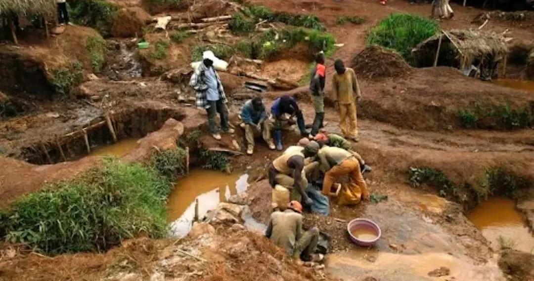 Mais de 26 mil cidadãos envolvidos em exploração ilegal de ouro na Huíla