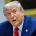 UE se mobiliza para evitar as tarifas de Trump sobre a Groenlândia e prepara uma retaliação