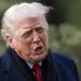 Trump diz que “não se sente obrigado a pensar na paz” porque não ganhou o Nobel