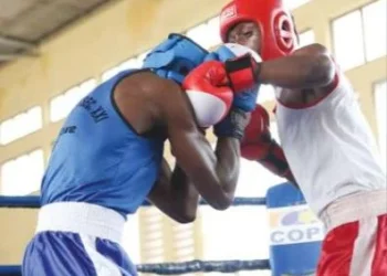 Boxe: Taça Luanda preparada ao pormenor