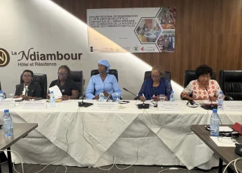 Florbela Araújo destaca defesa dos direitos fundamentais dos cidadãos e o papel do provedor da justiça em Angola