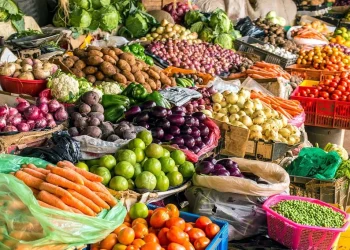 Matala colheu mais de 100 toneladas de produtos diversos na campanha agrícola 2024/2025