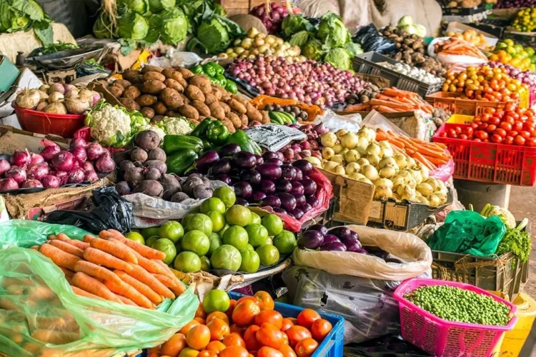 Matala colheu mais de 100 toneladas de produtos diversos na campanha agrícola 2024/2025