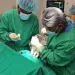 Hospital Geral do Cuanza-Norte realiza com sucesso cirurgia complexa a paciente com tumor cerebral