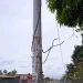 Autoridades repudiam assaltos de cabos eléctricos no Camama