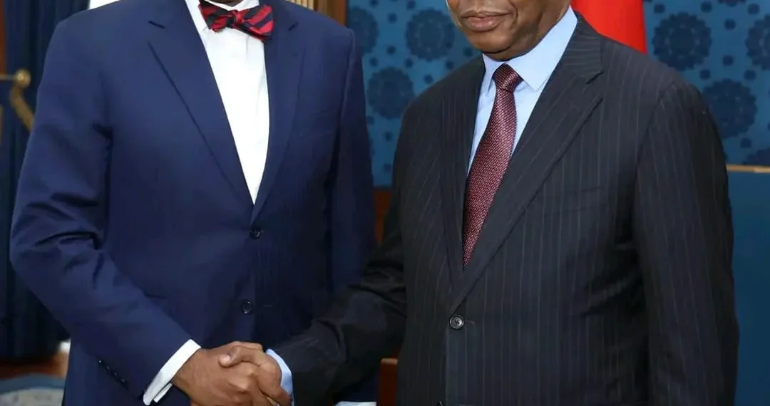 Presidente da República recebe em audiência o líder da Cimeira Global de investimento em África
