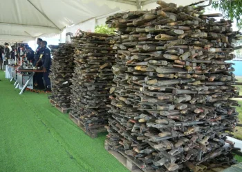 Recolha de mais de 30 mil armas de fogo de empresas de segurança reduz 18 por cento dos crimes