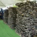 Recolha de mais de 30 mil armas de fogo de empresas de segurança reduz 18 por cento dos crimes