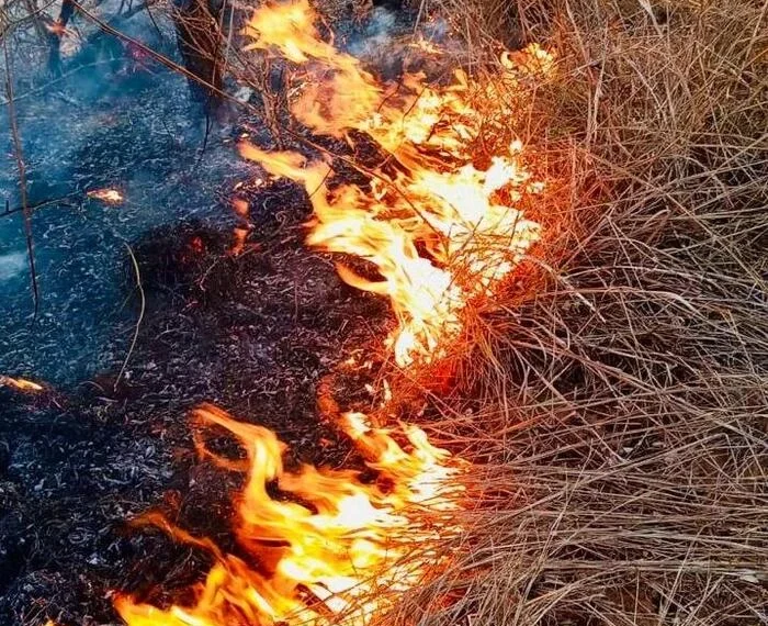 Incêndio atinge 50 hectares do Parque Nacional da Quiçama