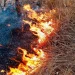 Incêndio atinge 50 hectares do Parque Nacional da Quiçama