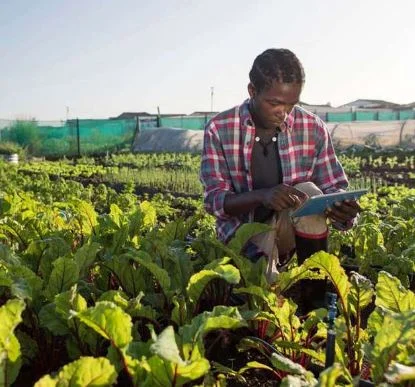 MINAGRIF implementa Projecto de Viveiros Integrados para impulsionar produção