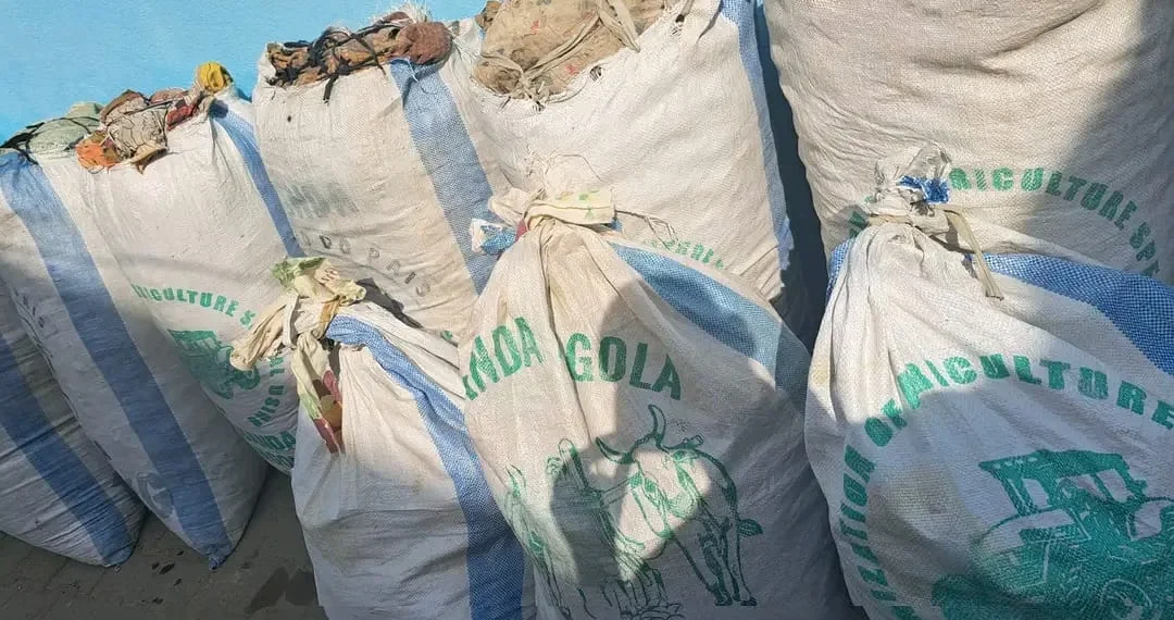 SIC apreende 900 quilos de liamba escondidos numa camada de areia na Catumbela