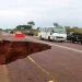 Ravina corta circulação na Estrada Nacional 160 no Uíge