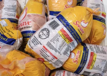 Angola gastou cerca de 310 milhões de dólares na importação de frango em 2025