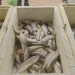 ‎Apreendidas mais de sete mil toneladas de peixe durante operação nas províncias de Luanda e Bengo