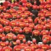 O congresso da certeza
