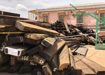 Polícia Nacional frustra tentativa de exportação ilegal de 16 contentores de madeira