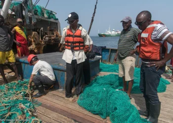 Apreendidas embarcações com cidadãos chineses suspeitas de realizarem pesca de arrasto em Cabinda