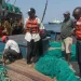 Apreendidas embarcações com cidadãos chineses suspeitas de realizarem pesca de arrasto em Cabinda