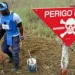 Angola pode estar livre de minas em 2027