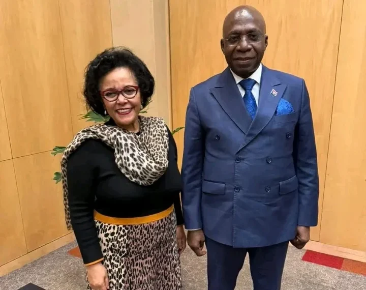 Téte António e directora da AUDA-NEPAD analisam presidência angolana no Comité de Orientação da agência