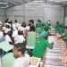 ‎Último dia do Fórum Negócios & Conectividade marcado por visitas à zonas de produção de Icolo e Bengo