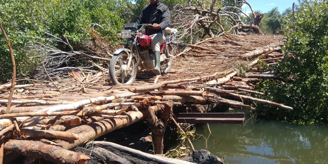 Município da Jamba na Huíla sobrevive com pontes alternativas para a circulação de pessoas e bens