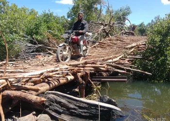 Município da Jamba na Huíla sobrevive com pontes alternativas para a circulação de pessoas e bens
