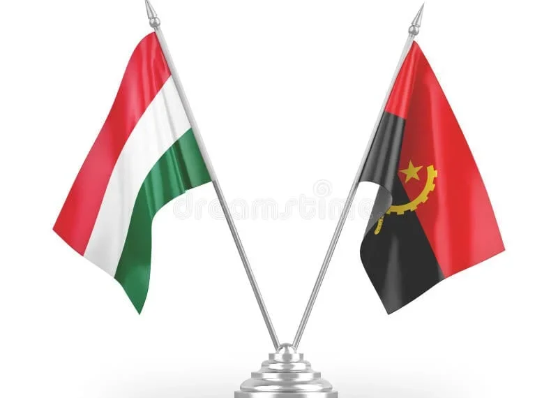 Angola busca experiência da Hungria para modernização do sistema dos transportes terrestre