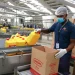 Nova fábrica de refinação de óleo vegetal avaliada em cerca de 90 milhões de dólares
