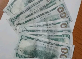 SIC apreende mais de mil dólares falsos na Lunda-Norte