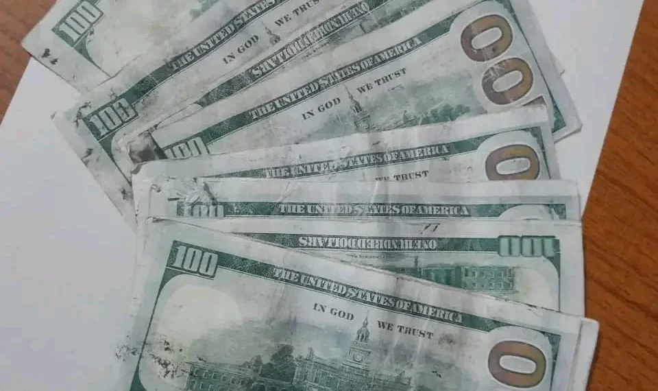 SIC apreende mais de mil dólares falsos na Lunda-Norte