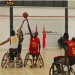Bengo prepara ao detalhe Africano de Basquetebol em Cadeiras de Rodas