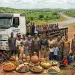 CONTOS D’OUTROS TEMPOS: A estrada de herdeiros e as sete mulheres do Kota Lukenda do Volvo 009 – Vidas de Ninguém XIX