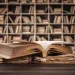 Antologia literária infantil celebra efeméride