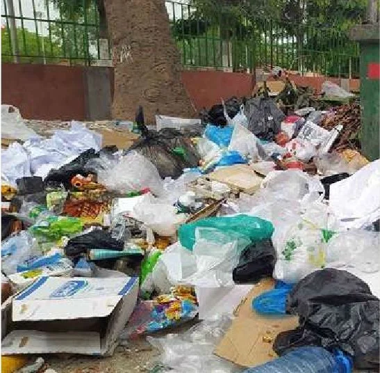 Carta do leitor: Lixo no bairro da Socolas…