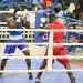 Huambo acolhe a partir de hoje torneio de abertura e gala de boxe