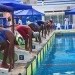 Mais de 170 nadadores agitam Taça de Angola