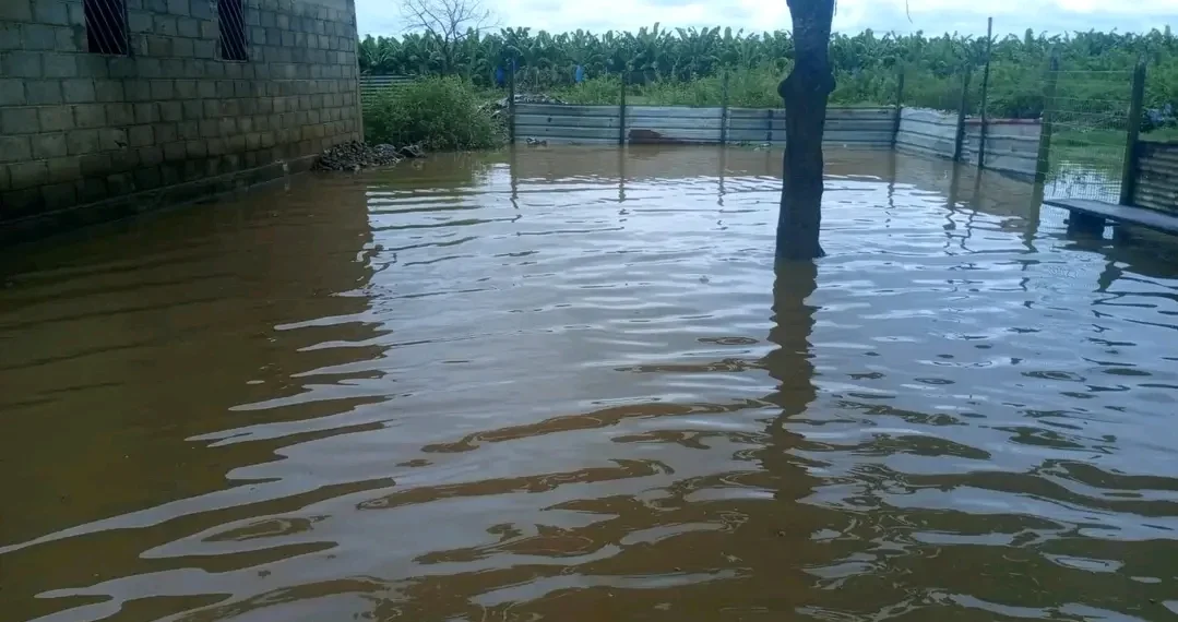 Transbordo de vala em Caxito inunda mais de 40 residências