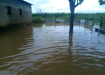 Transbordo de vala em Caxito inunda mais de 40 residências