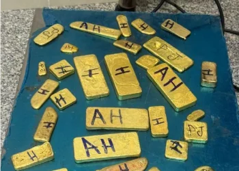 Detidos cidadãos que tentavam exportar ouro e chifres de rinoceronte