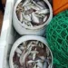 Vietnamitas detidos por pesca ilegal na costa de Cabo ledo