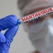 OMS mantém avaliação de baixo risco para saúde pública depois do surto de hantavírus