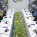 Londres e Bruxelas acordam participação do Reino Unido em empréstimo à Ucrânia