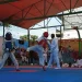 Taekwondo: Escassez de recursos coloca “em cheque” crescimento da modalidade na capital do país