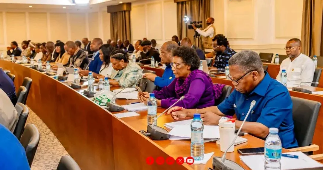 Deputados iniciam debate na especialidade da Proposta de Lei sobre Informações Falsas na Internet