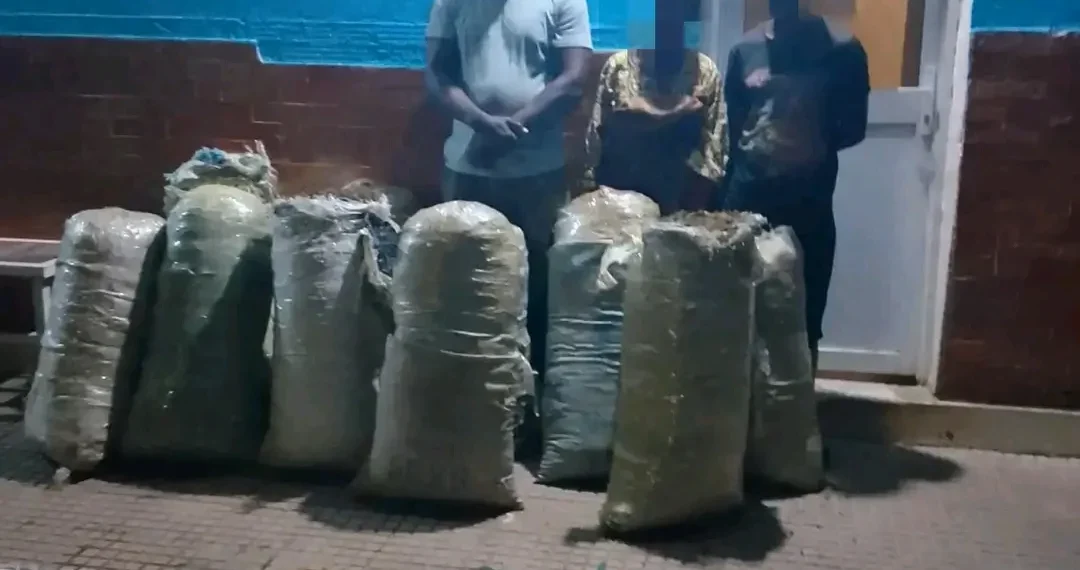 Apreendidos mais de 200 quilos de liamba dissimulados em sacos de fuba